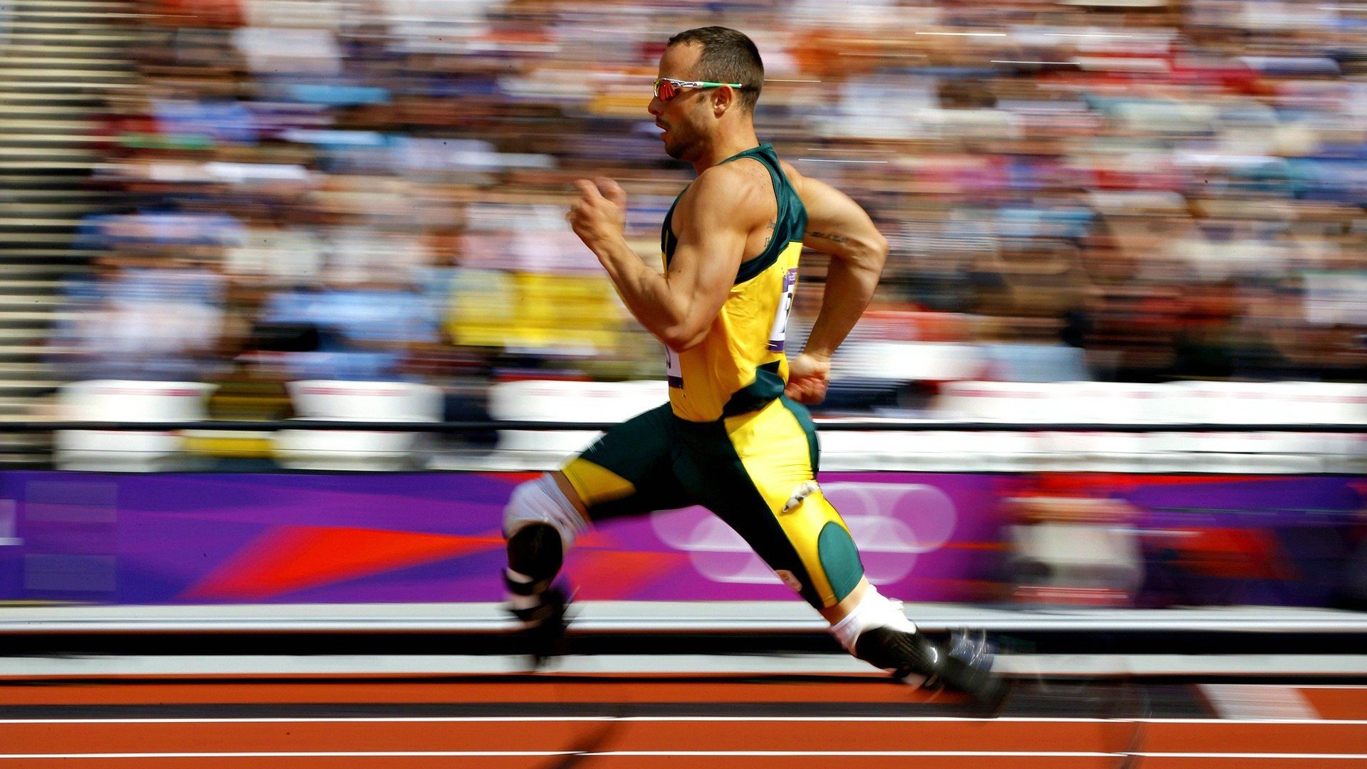 “智慧场馆+绿色基础”深度融合，行业基础设施不断完善升级，智慧场馆解决方案