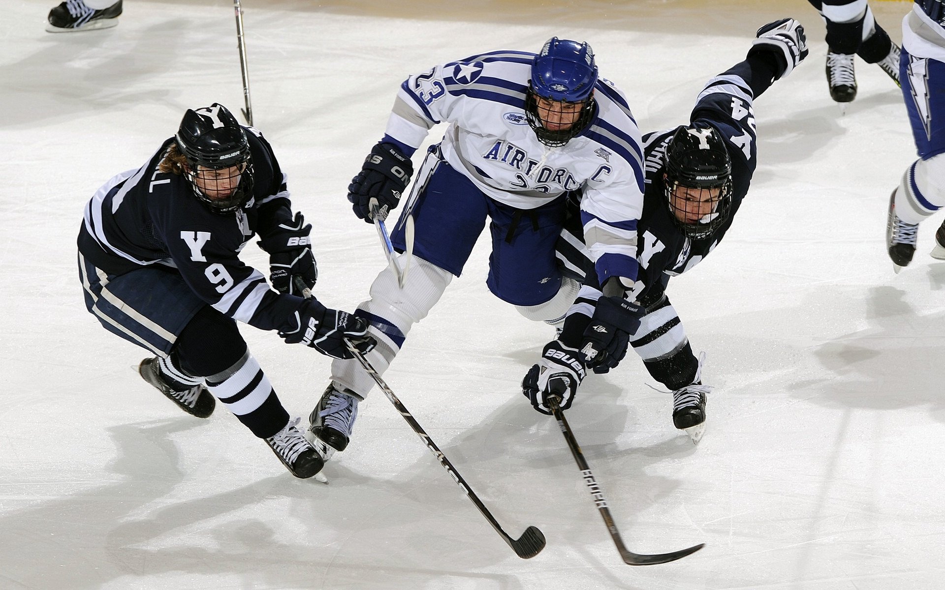 “未来之星”归来:新秀车手的辉煌起步,未来之星是谁